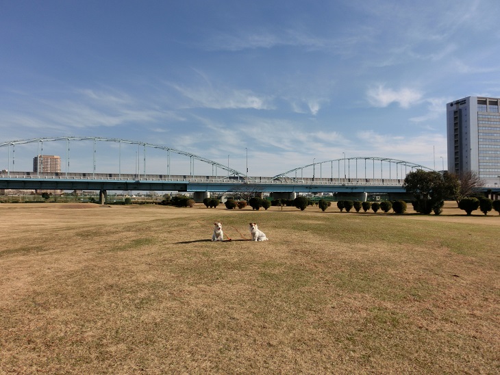 c0156345_21481530.jpg