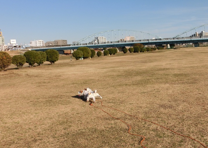 c0156345_21484378.jpg