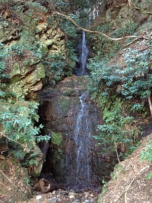 e0173645_2233852.jpg