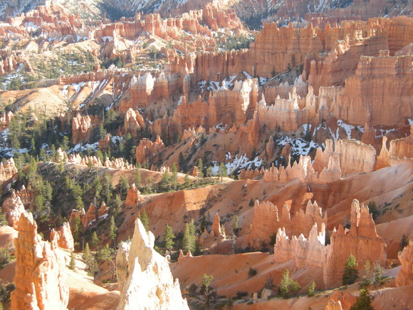 b0139547_2063215.jpg