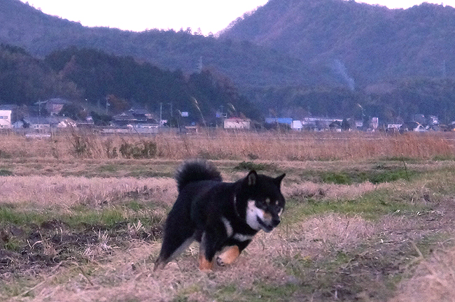 f0214649_1435093.jpg