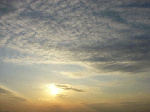 c0225153_2302938.gif