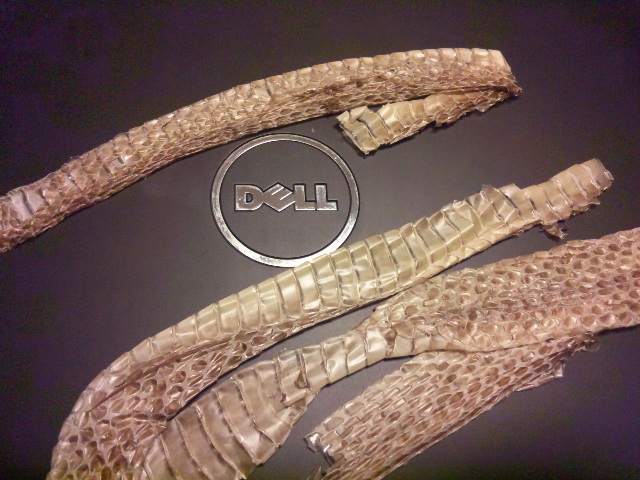 e0083359_411123.jpg