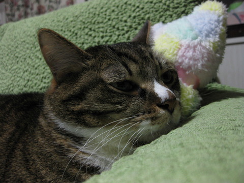c0148165_1744222.jpg