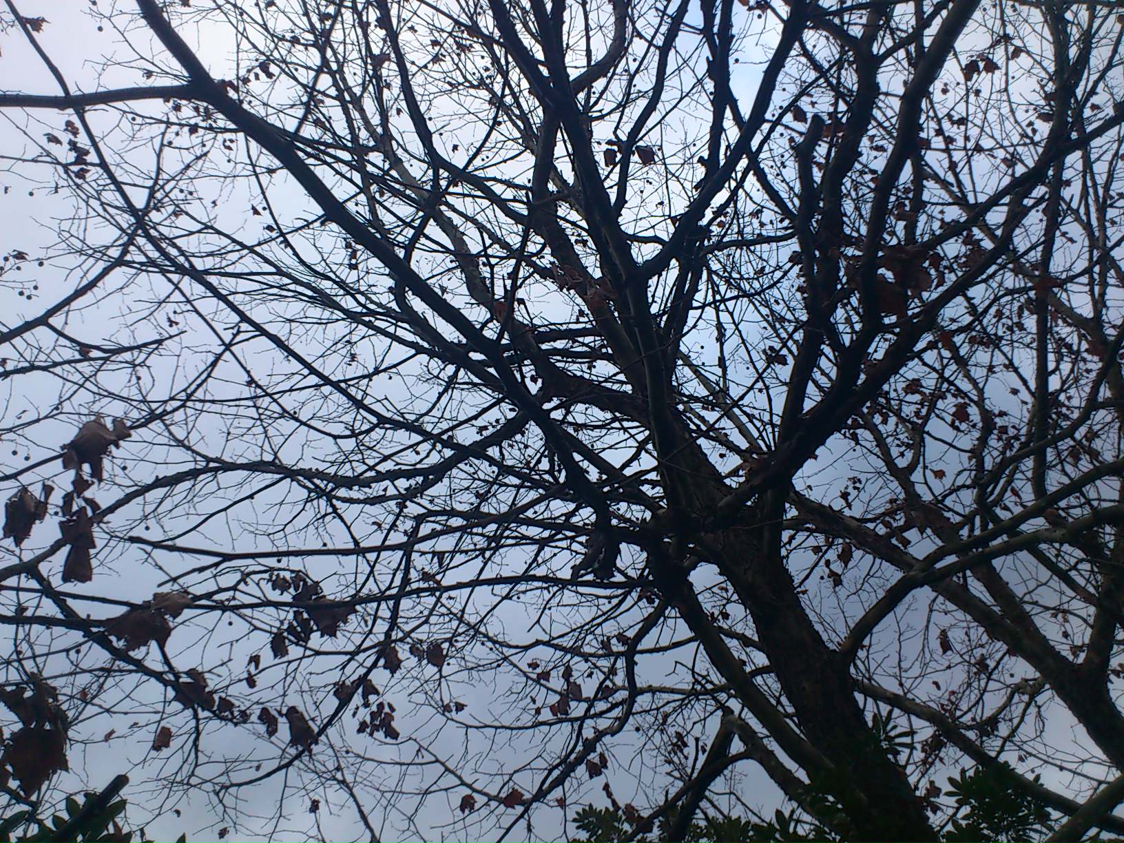 c0194767_4523434.jpg