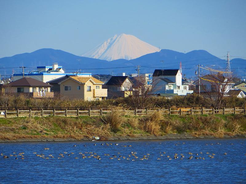 b0167370_163747100.jpg