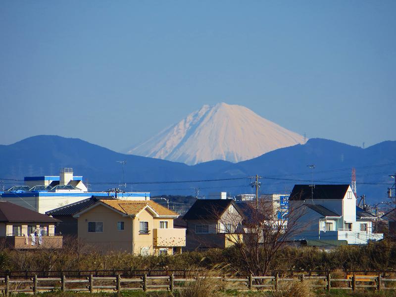 b0167370_1638182.jpg