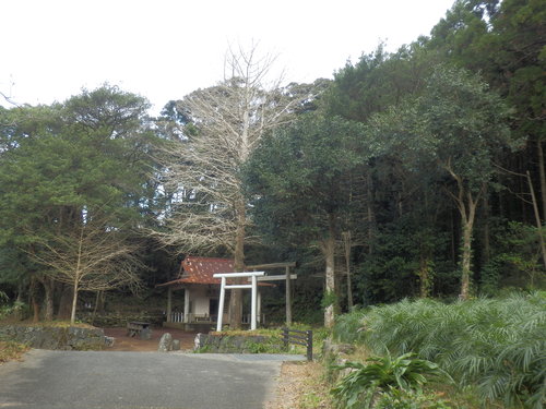e0292172_202541100.jpg