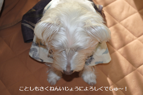 b0242873_22421256.png
