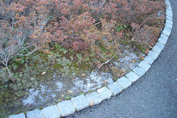 b0242873_22493946.jpg