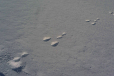 f0182173_14133475.jpg