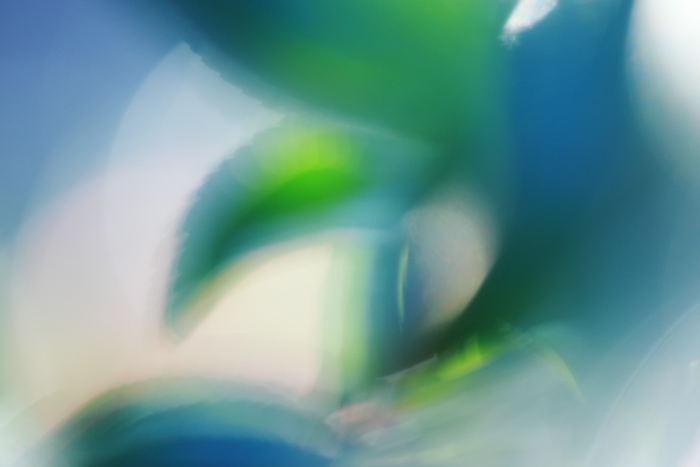 c0268775_137970.jpg
