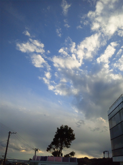 d0247876_058051.jpg