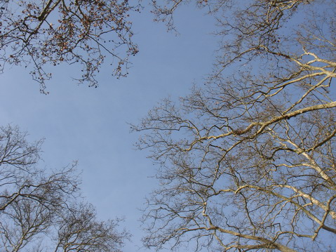 a0247585_5332621.jpg
