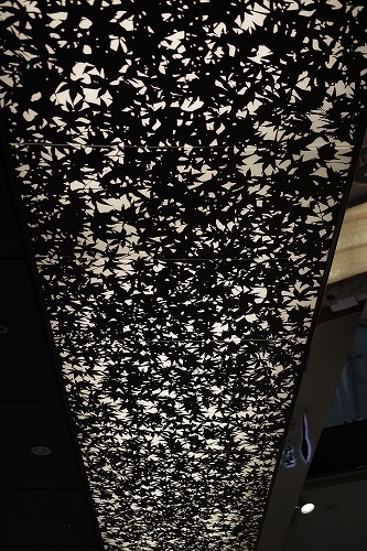 b0119493_20105939.jpg
