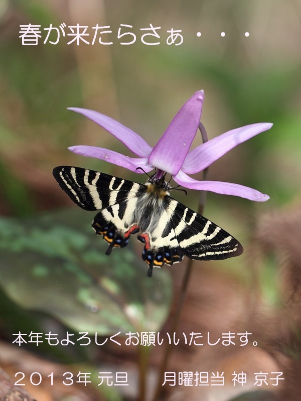 b0194593_23364567.jpg