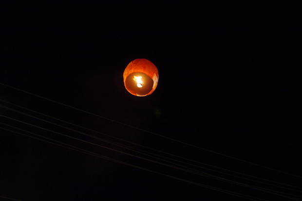 e0134695_1201923.jpg