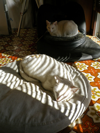 f0239100_16411584.jpg