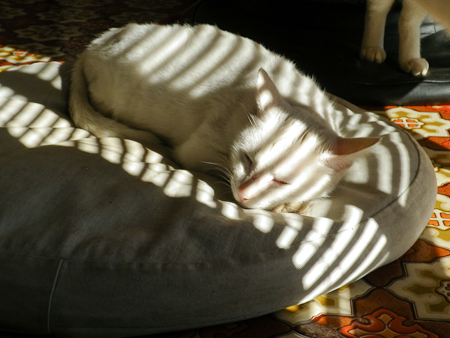 f0239100_1649681.jpg