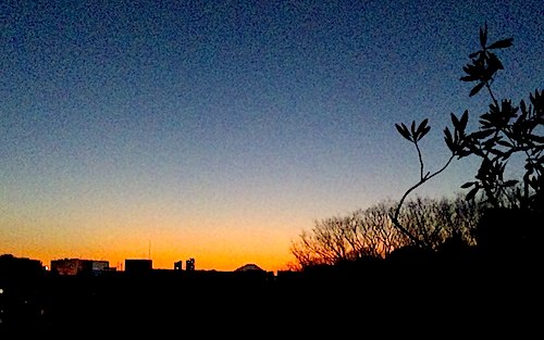 f0036716_003484.jpg