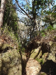 a0232921_0122870.jpg