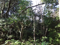a0232921_013215.jpg