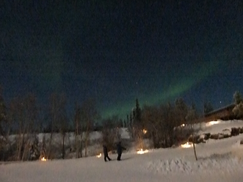d0195623_1742959.jpg