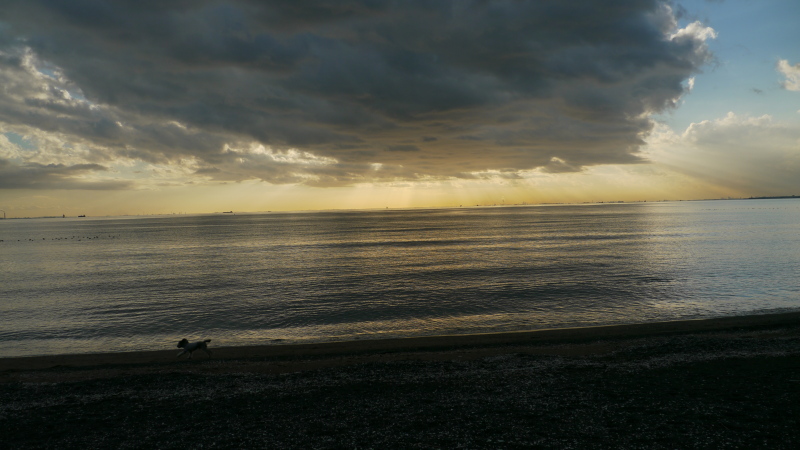 b0190242_11362183.jpg