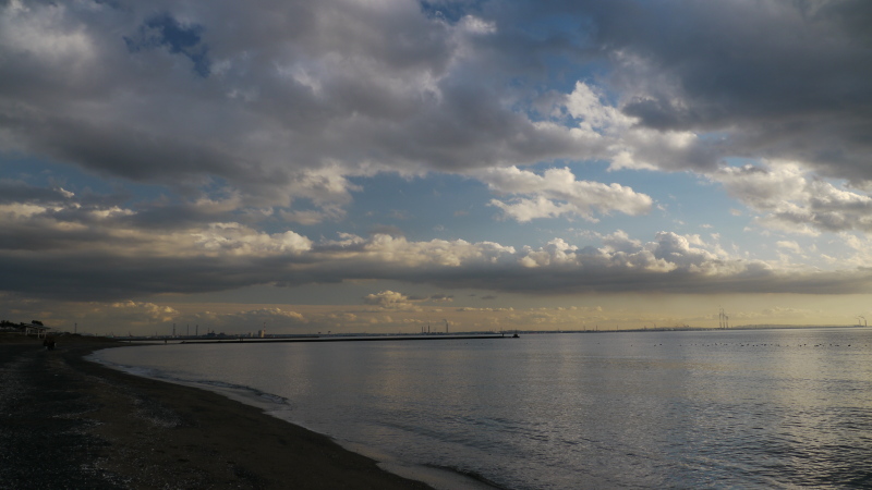 b0190242_1136358.jpg