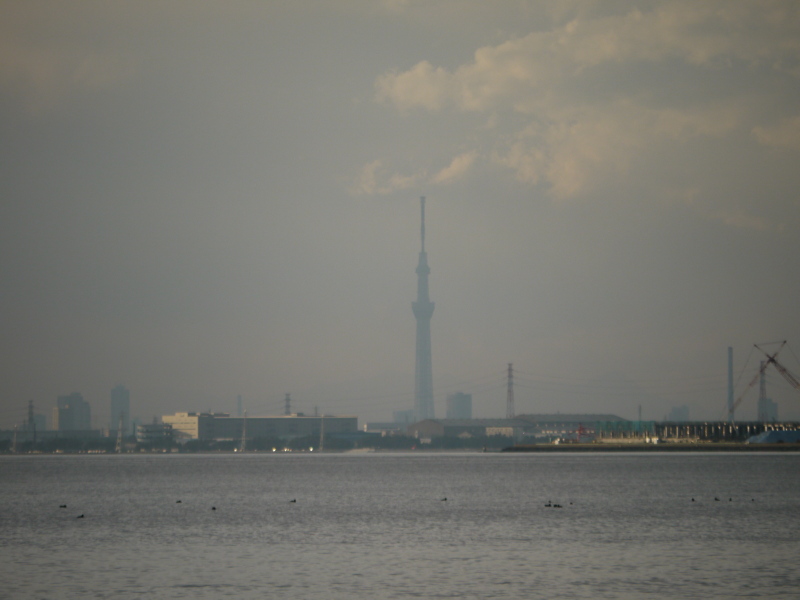 b0190242_11365125.jpg