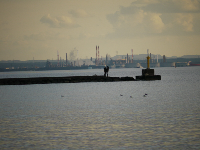 b0190242_1137774.jpg