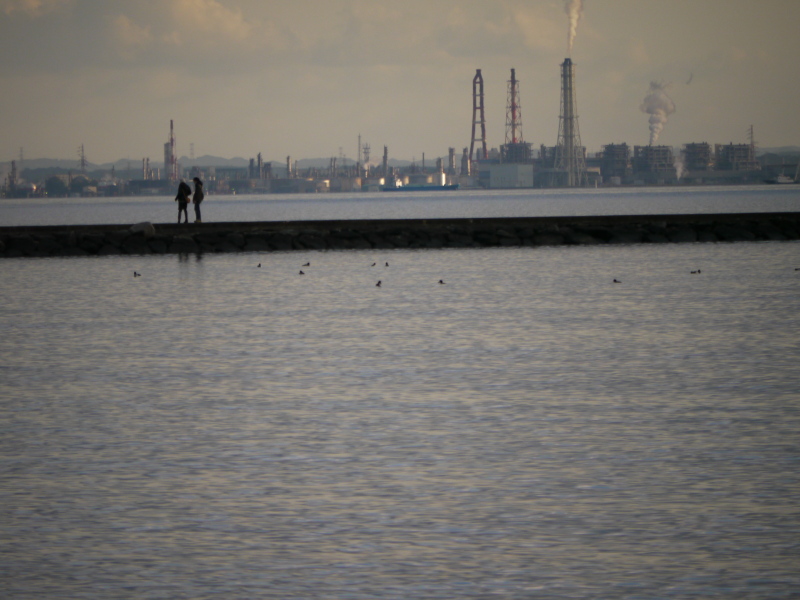 b0190242_1145761.jpg