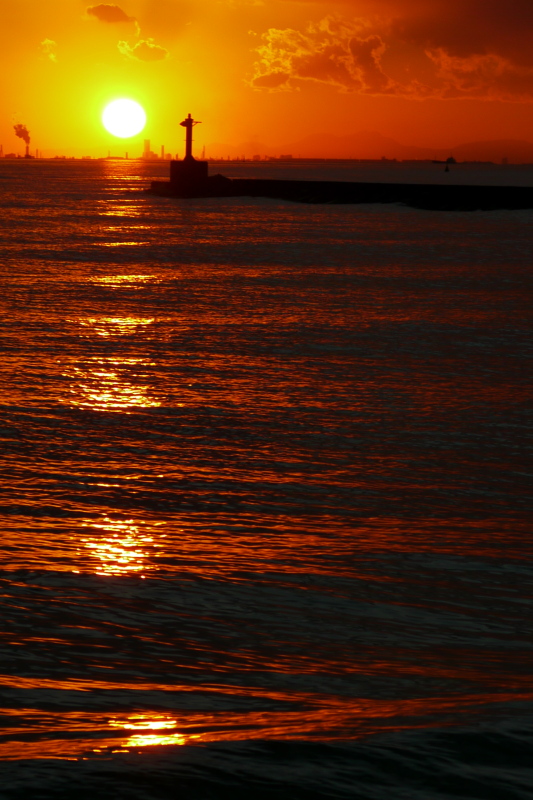 b0190242_11474356.jpg