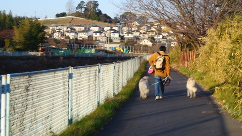 e0121548_1842533.jpg