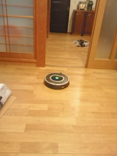 e0150849_17225699.jpg