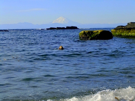 c0097558_16163763.jpg
