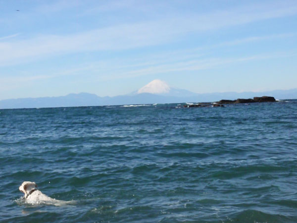 c0110361_1623962.jpg
