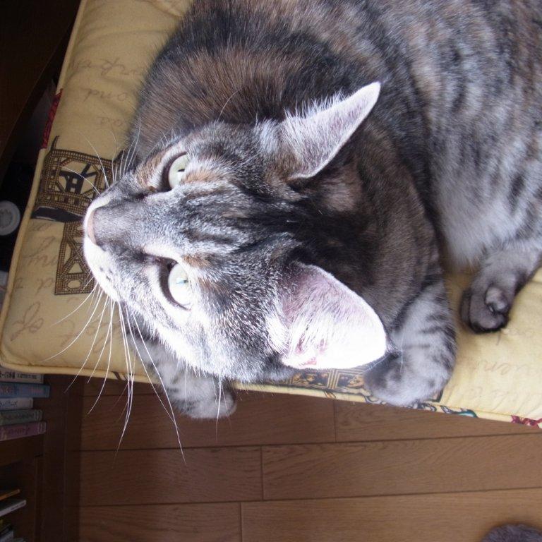 a0123465_22122447.jpg