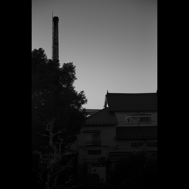 c0118173_15455565.jpg