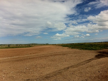 f0064573_5505185.jpg