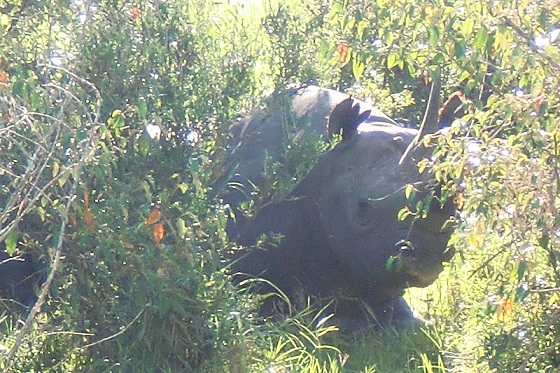f0064573_6141659.jpg