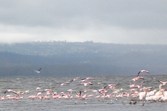 f0064573_6163628.jpg