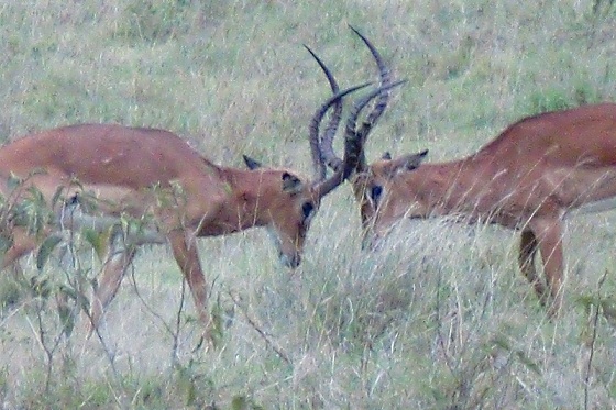 f0064573_616529.jpg