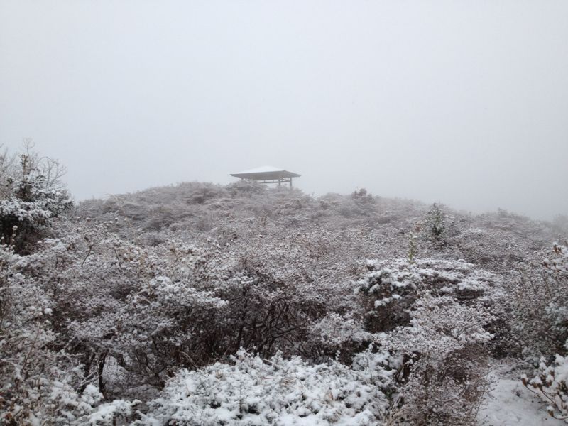 b0046478_22435734.jpg