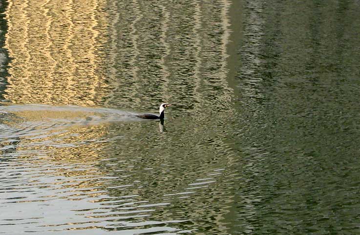 b0057679_8302084.jpg