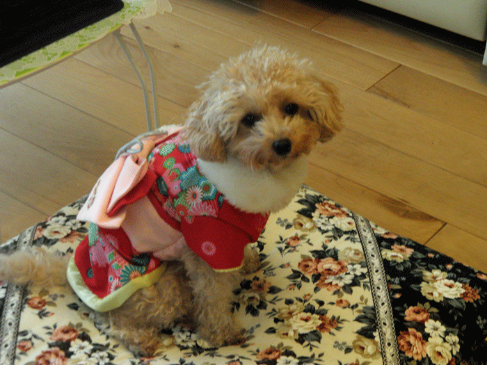 b0098881_0295942.gif