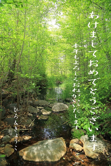 e0148185_10265677.jpg