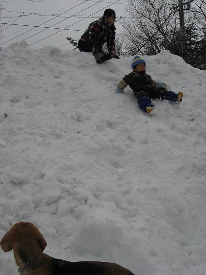 e0243385_2120260.jpg