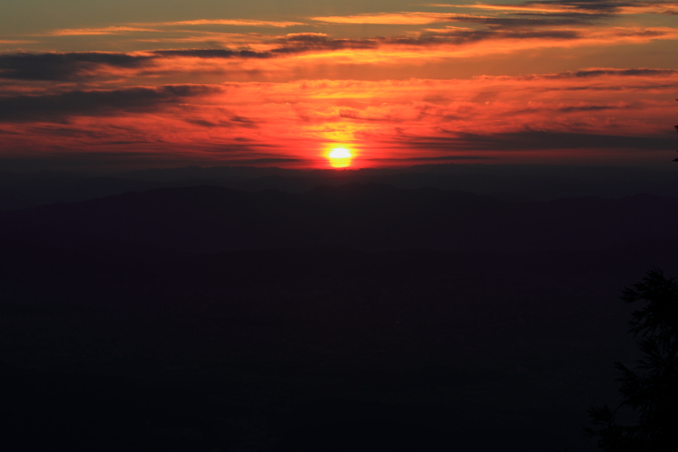 e0051888_22503024.jpg