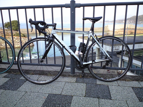 a0143296_17465388.jpg
